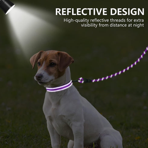 Dynmeow Reflective Dog Collar and Leash Set, Adjustable Pet Collar with Soft Neoprene Padding for Small Medium Dogs