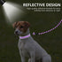 Dynmeow Reflective Dog Collar and Leash Set, Adjustable Pet Collar with Soft Neoprene Padding for Small Medium Dogs