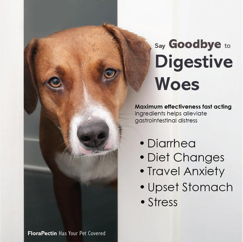 (15 Oral Paste for Dogs & Cats-Helps Reduce Occasional Loose Stool & Diarrhea, Balance Gut pH, Support Normal Digestion