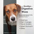 (15 Oral Paste for Dogs & Cats-Helps Reduce Occasional Loose Stool & Diarrhea, Balance Gut pH, Support Normal Digestion
