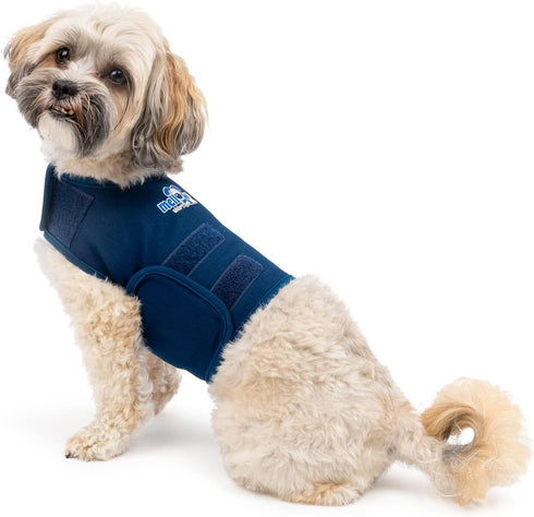 Dog Anxiety Calming Wrap, X-Small Size