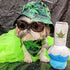 Puppy Chiefer 3000 Funny Dog Toys, Plush Squeaky Weed for Medium, Small, Large Dogs, Cute Birthday Gifts
