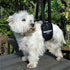 Dog Sling Support Harness, SM Female, Fits Small to Medium Pets, Padded Rear Lifting Aid with Leash