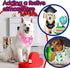 Generic 100 Pieces Holiday Dog Bandanas Halloween Thanksgiving Christmas New Year Bandanas for Dogs Autumn Fall Dog