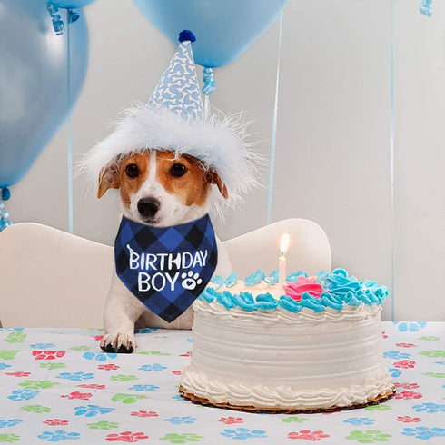 STMK 2 Pack Dog Birthday Bandana, Plaid Triangle Scarf for Birthday Boy Girl Dogs