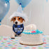 STMK 2 Pack Dog Birthday Bandana, Plaid Triangle Scarf for Birthday Boy Girl Dogs