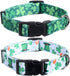 2 Pack St. Patrick's Day Dog Collar, Adjustable Four Leaf Clover for Small Dogs