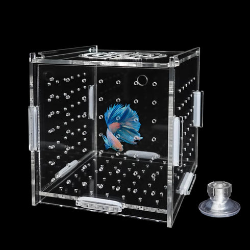 Acrylic Fish Breeding Box, Transparent Isolation Box Hatchery Incubator with Suction Cups for Guppy Shrimp Clownfish