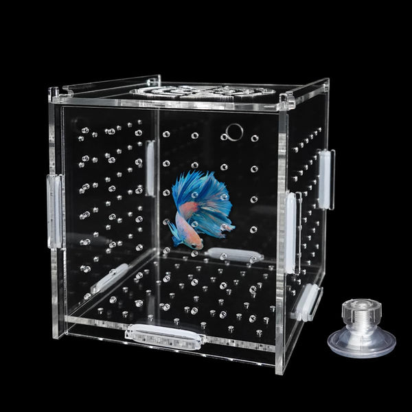 Acrylic Fish Breeding Box, Transparent Isolation Box Hatchery Incubator with Suction Cups for Guppy Shrimp Clownfish