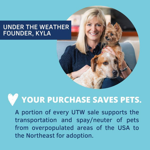 Under the Weather Pet Ready Cal for Dogs, 100cc, High Calorie Supplement, Weight Gainer, 10 Vitamins, 7 Minerals