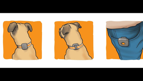Dog Training Device with Remote Controller, Vibration Collar for Small, Medium, Large Dogs, Waterproof and Rechargeable