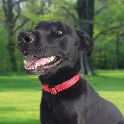 Reflective Dog Collar, Adjustable Durable Neoprene Pet Collar, Ultra Soft Breathable with Quick Release Buckle for Dogs