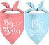 Big Sister Big Brother Dog Bandanas, Adjustable Double Sided Pet Bandana for