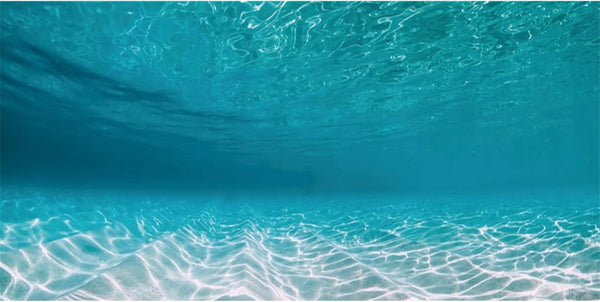 AWERT 30x18 inches Undersea Aquarium Background: Pool Ocean Floor, Underwater Fish Tank Background