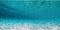 AWERT 30x18 inches Undersea Aquarium Background: Pool Ocean Floor, Underwater Fish Tank Background