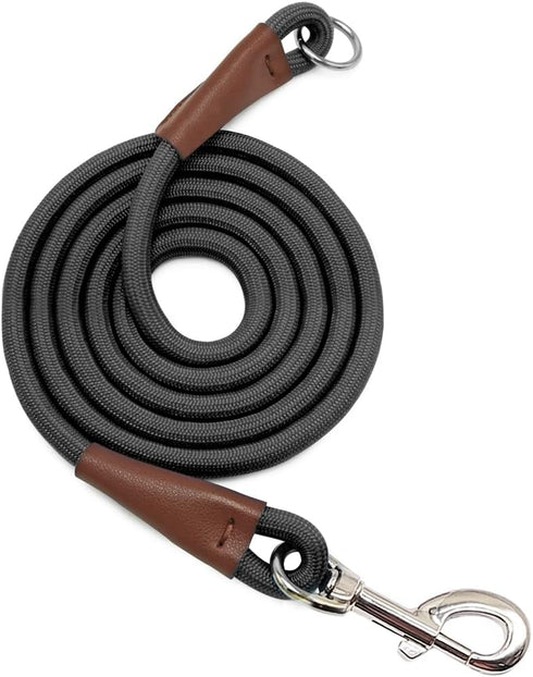 No Handle Dog Leash, 3FT / 6FT Tether Training Leash, Tie Down for Exercising, Bicycle and Outdoor Running Walking