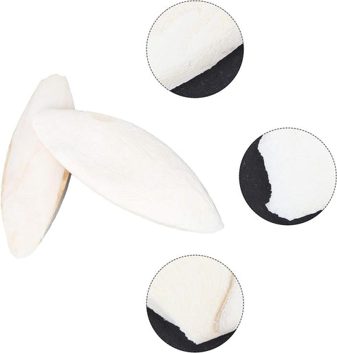 12pcs Bird Cuttlebone Chew Toy, Cuttlefish Bones for Parrot Cage Toys, 10cm Bird Bite Toy