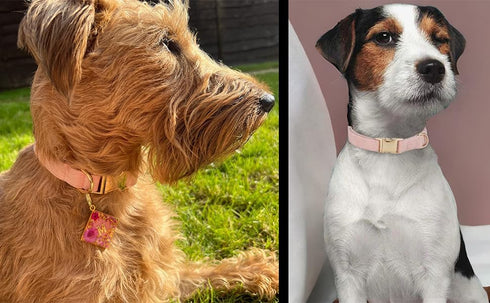 Soft Cotton Dog Collar with Metal Buckle, Adjustable Heavy Duty Comfy Corduroy for Small Medium Large Dogs, Light Pink,