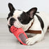 Durable Rubber Slipper Dog Chew Toy for Puppy, Interactive Tough Toys for Pet Training and Cleaning Teeth, Aggressive