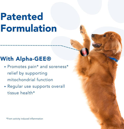 Dog Joint Pain Relief Capsules, 90 Ct - Activity-Induced Joint Supplement for Large Breed Dogs, Fast Pain Relief