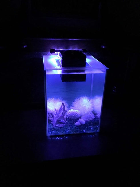 LED Aquarium Light, 7.5inch Colorful Fish Tank Light Submersible Underwater Crystal Glass LEDs Lights, 9 LEDs Beads, Brightness Adjustable Memory Function, LED Light bar Stick for Fish Tank by COVOART