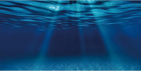 AWERT 48x24 inches Ocean Floor Aquarium Background, Undersea Theme for Fish Tank
