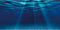 AWERT 48x24 inches Ocean Floor Aquarium Background, Undersea Theme for Fish Tank
