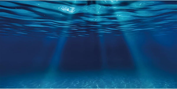 AWERT 30x18 inches Ocean Floor Aquarium Background, Undersea Theme Fish Tank Background.
