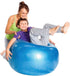 GYMNIC Body Ball for Core Strengthening