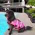 Queenmore Dog Life Jacket, Adjustable Ripstop Shark Safety Vest with High Buoyancy and Durable Rescue Handle, Pink Fish