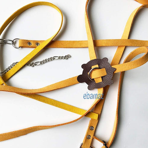 Leather Harness Strap for Tortoise/Turtle Pet Walking Lead Control Rope, Chest Collar (M)