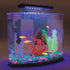 Oubest Glow in The Dark Pebbles, Multi-Colored Glow Stones for Garden, Fish Tank, Walkway, Plant Pots (200)