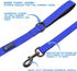 Max and Neo Small Dog Reflective Nylon Leash, We Donate a Leash to a Dog Rescue for Every Leash Sold (Teal)