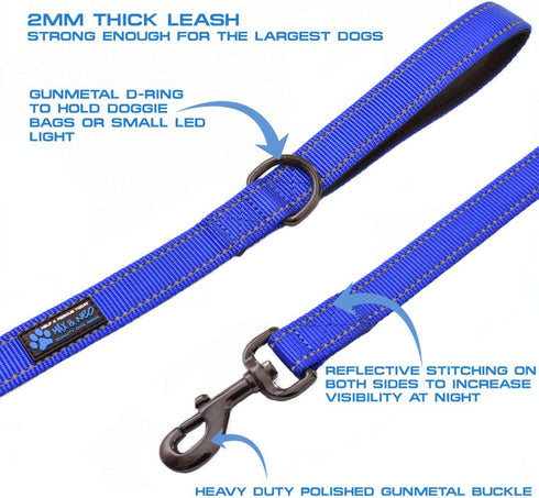 Max and Neo Small Dog Reflective Nylon Dog Leash - We Donate a Leash to a Dog Rescue for Every Leash Sold (ORANGE, 4x5/8)