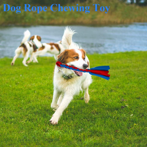 ASOCEA 2 Pack Dog Fleece Rope Toy for Chase and Tug, Interactive Cotton Chew Toy for Small Medium Dogs