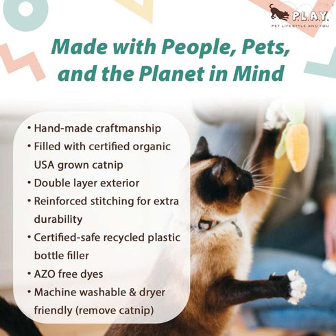 Set 2) P.L.A.Y. Cute Cat Toys - Feline Frenzy Picnic Food Themed Organic Catnip Filled Toy, Great for Adult Cats