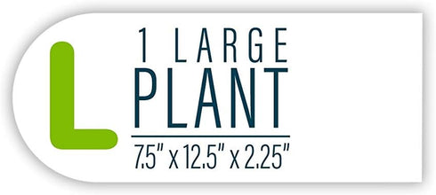 GloFish Mangrove Green Tree Plant for Fluorescent Under Blue LED Light Aquarium Decor