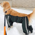 FouFou Dog Bodyguard Protective All-Weather Dog Pants, Small, Black