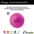 12-Pack Champion Sports Field Hockey Balls NFHS Approved, High-Visibility Regulation Balls
