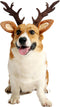 Pet Deer Costume Hat Adjustable Merry Christmas Dog Antlers Headwear Accessories (Large)