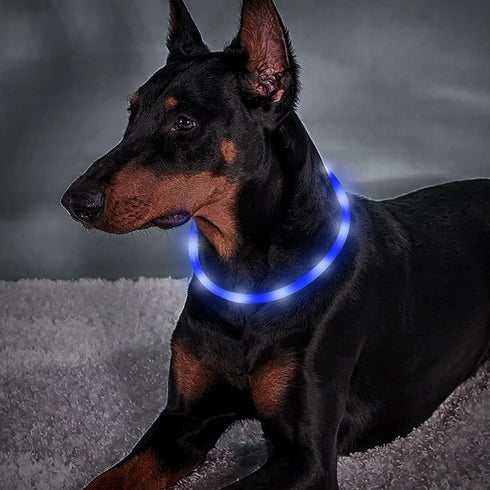 BSEEN Light Up Dog Collars, Cuttable Silicone LED Collar for Small Medium Large Dogs in Blue