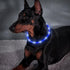 BSEEN Light Up Dog Collars, Cuttable Silicone LED Collar for Small Medium Large Dogs in Blue