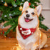 Christmas Dog Bandanas, Adjustable Pet Christmas Triangle Scarf Stylish Breathable Dog Bib with Buckle Design for Fall