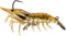 Generic Fishing Lure Shrimp Jig Bait lsh95sk 3/8oz Color # 3/8oz Glass Shrimp