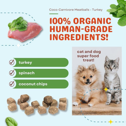 CocoTherapy 3 Pack Turkey Meatballs Dog Treats