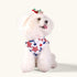 CuteBone 4th of July Dog Shirts 2-Pack, Soft Pet Clothes, Breathable Summer Vest for Small Puppy and Cat Apparel