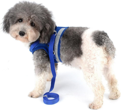 Zunea No Pull Dog Harness for Tiny Small Dog, Escape Proof Kitten Lead, Reflective Soft Mesh Padded Vest Harness Set