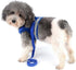 Zunea No Pull Dog Harness for Tiny Small Dog, Escape Proof Kitten Lead, Reflective Soft Mesh Padded Vest Harness Set