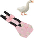 Reusable Poultry Diaper for Chickens, Ducks & Geese