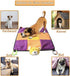 IFOYO Puppy Play Mat, Puppy Chew Toys with Teething Ropes, Durable Dog Sleeping Pad, Interactive Toy for Small Medium